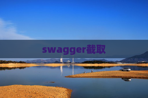 swagger截取 swagger截取